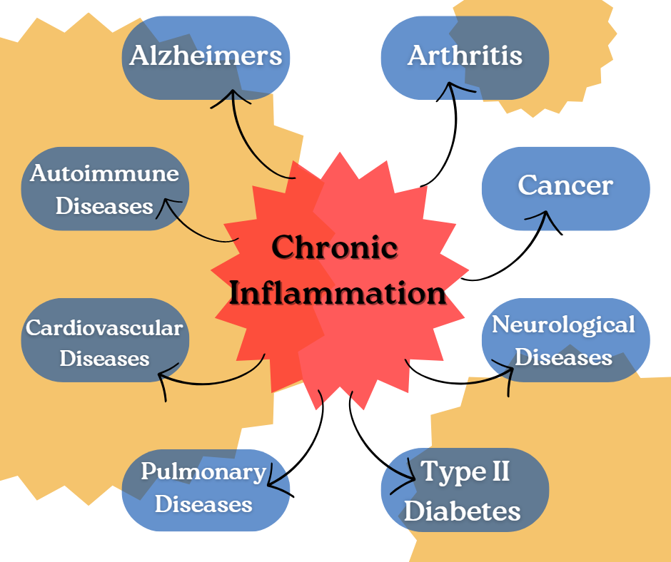 Explore Evidence-Based Chiropractic Care Insights | Chiro Technology