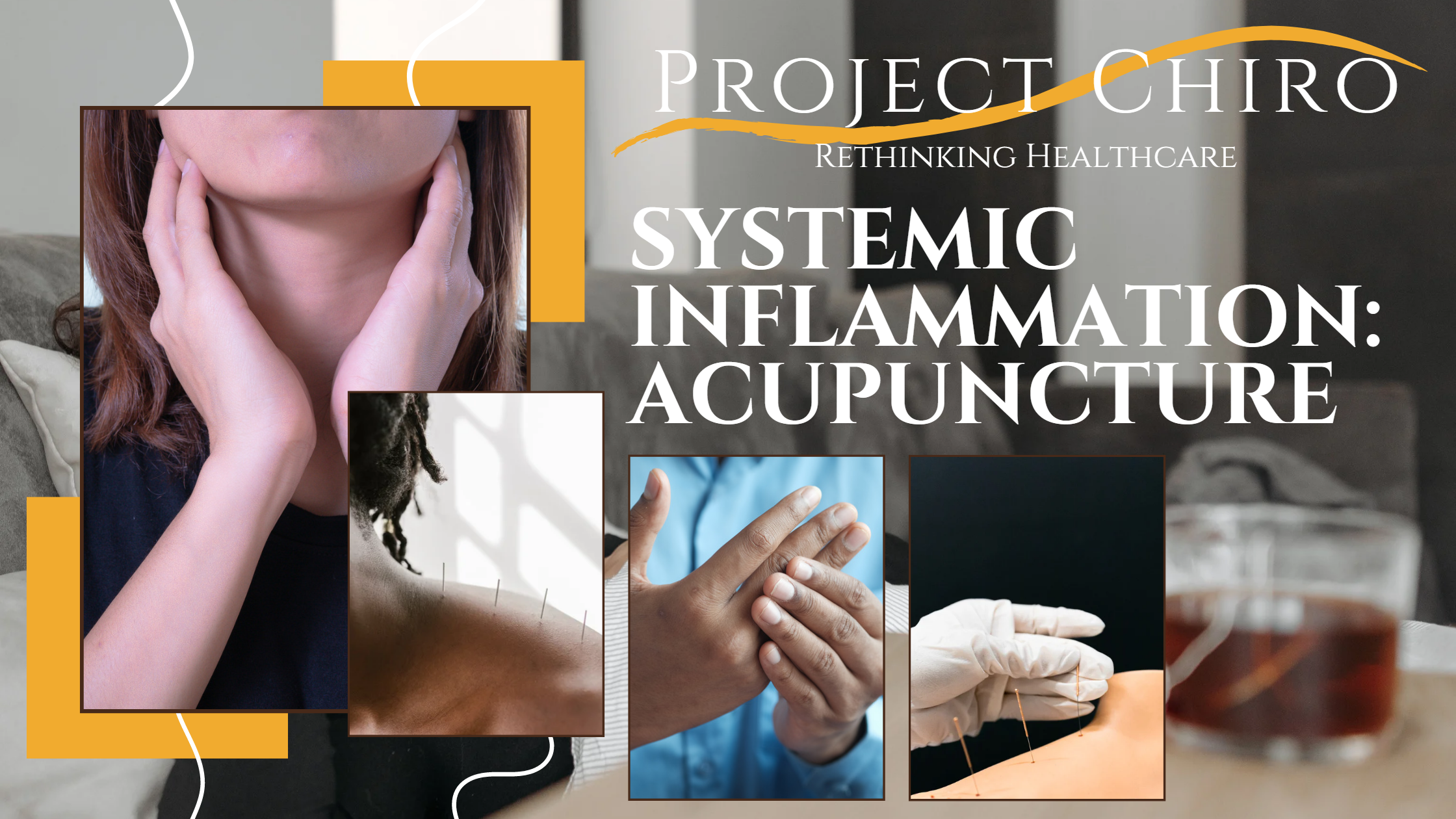 Project Chiro Acupuncture Chiropractor Chiropractic Inflammation Holistic Health Health and Wellness Fitness